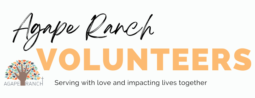 Volunteer Interest Form